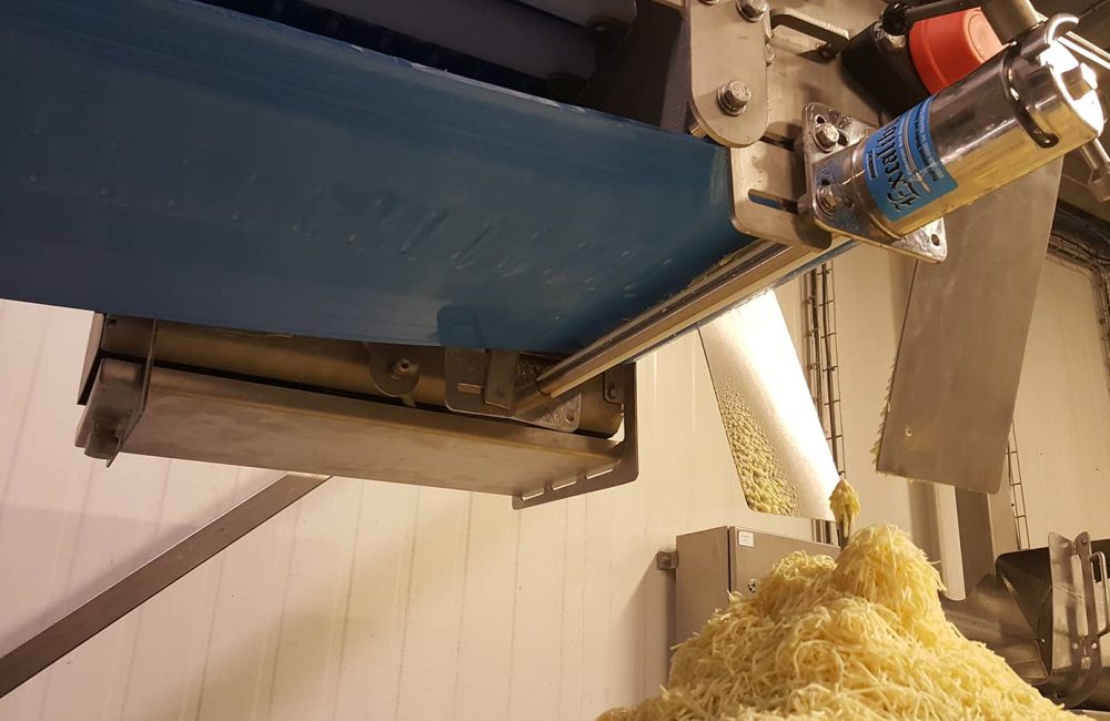 Racleur Alimentaire Excalibur - fromage rapé